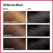 Picture of Revlon Colorsilk Beautiful Hair Color - 20 Brown Black