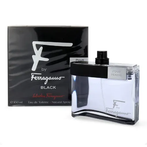 Salvatore Ferragamo F Black EDT 100ml