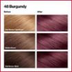 Revlon ColorSilk Beautiful Color, 48 Burgundy