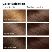 Revlon ColorSilk Beautiful Hair Color 47 Medium Rich Brown
